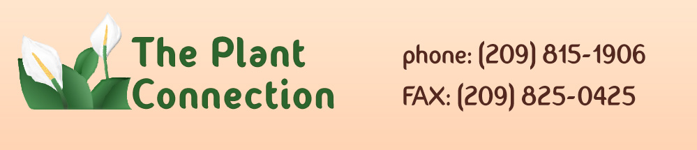 The Plant Connection Logo of a Stylized Peace Plant and phone number 209-815-1906 and FAX number 209-825-0429