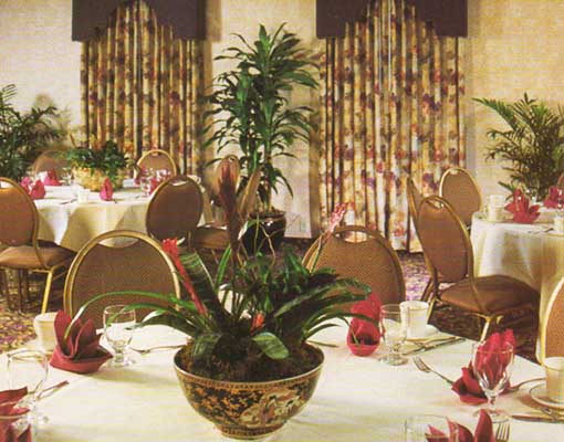 Flower bowl table centerpiece and potted plants along the wall of a restaurant